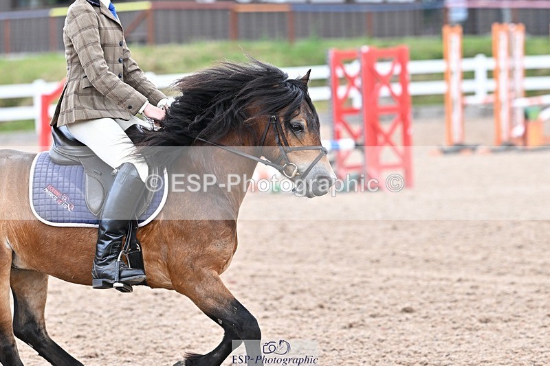 250624-160645-00025 - 60cm