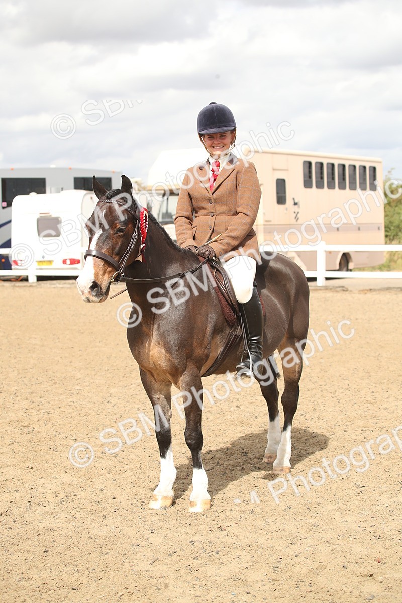 SBM_16557 - Class 506b - Working Veteran - 50cm (20+)