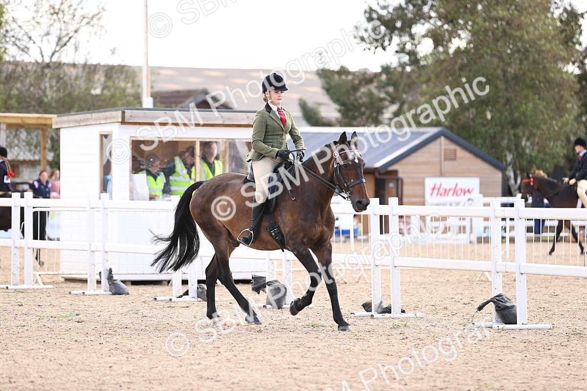 SBM_12966 - Class 410 - Grassroots Ridden - Horse