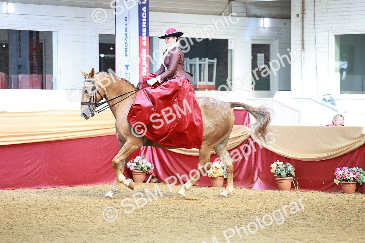SBM_13569 - Class 105 - Ridden Costume - Side Saddle