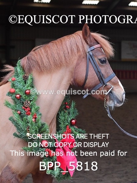 BPP_5818 - Sarah Page