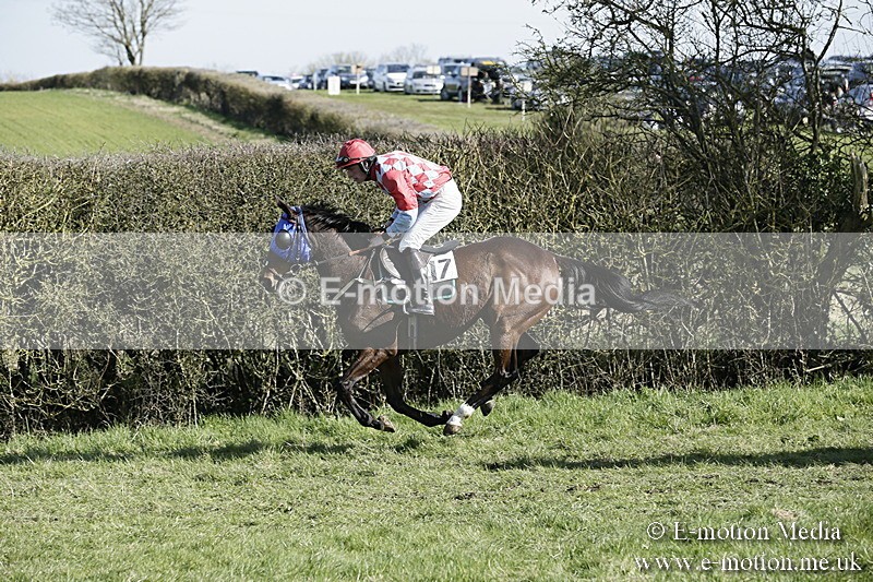 PtP 250317 197 - V.W.H. Hunt Point-to-Point Siddington 25/03/17