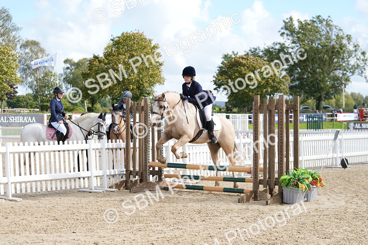 SBM_48488 - J7 - Junior Pony 60cm Championship