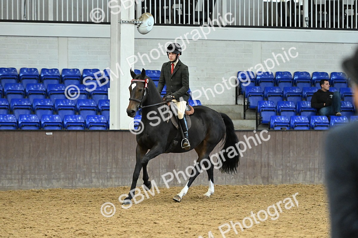 SBM_002072 - Class 23 - BSHA Ridden Show Hunter