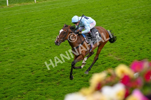 220824-Race 5-Scenic-7628 - Race 5 4.10pm British EBF & Sir Henry Cecil Galtres Stakes
