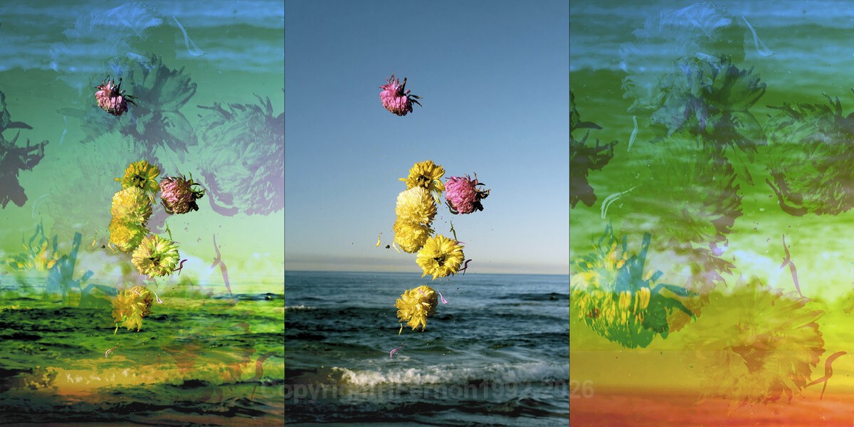 ENTROPY TRIPTYCH l-lll - ENTROPY 2023