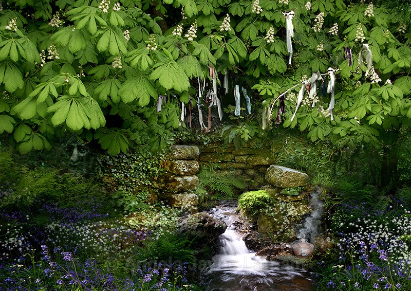 Hidden Holy Well - Enchanted Places