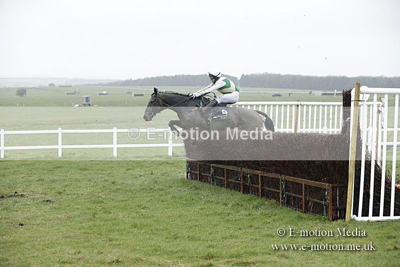 PtP 150320 0177 - New Forest Point-to-Point Larkhill 15/03/20