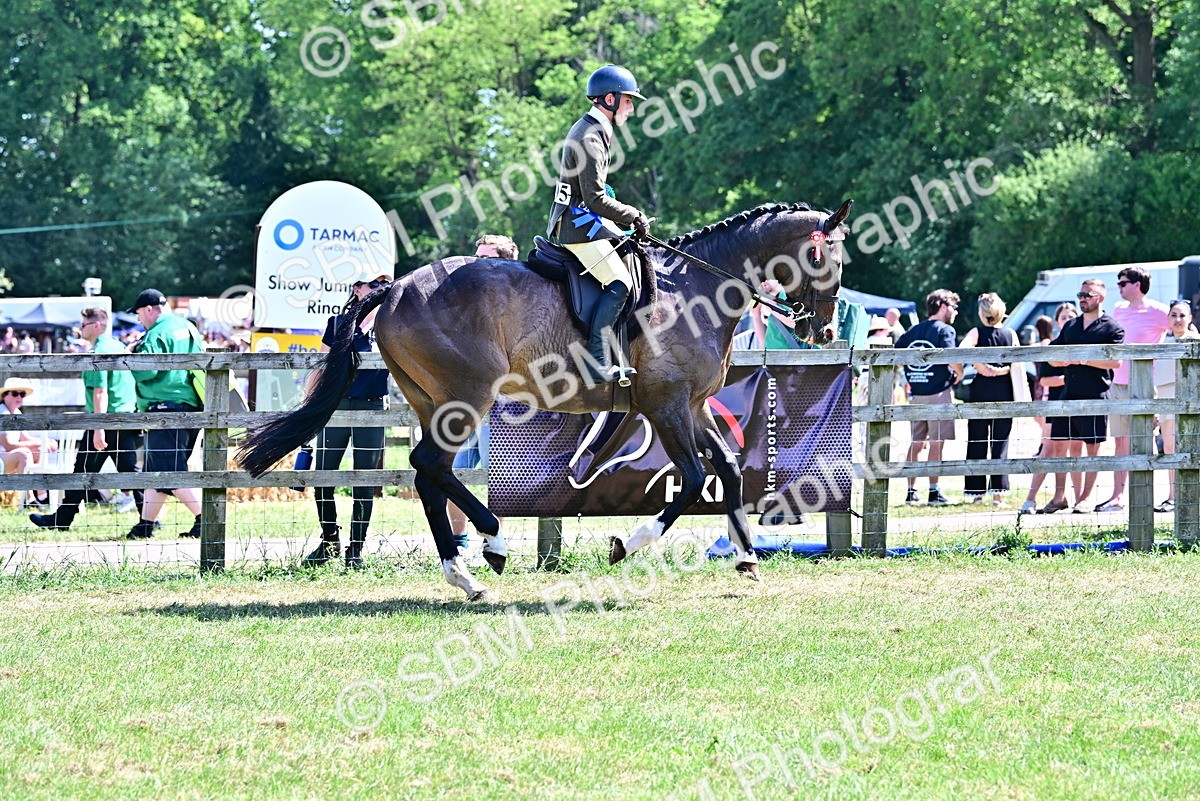 SBM_18194 - Class 99-100 - Retraining of Racehorses Ridden