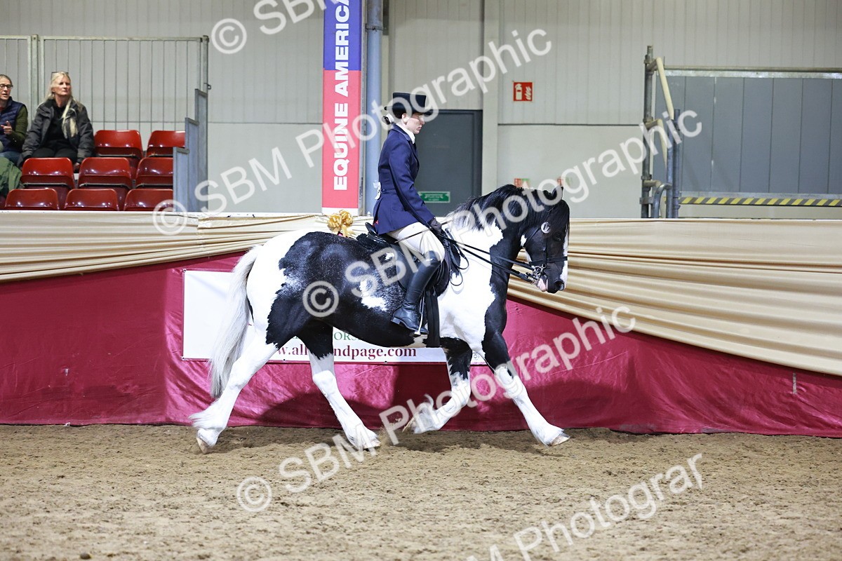 SBM_20827 - Class L - Coloured Champ