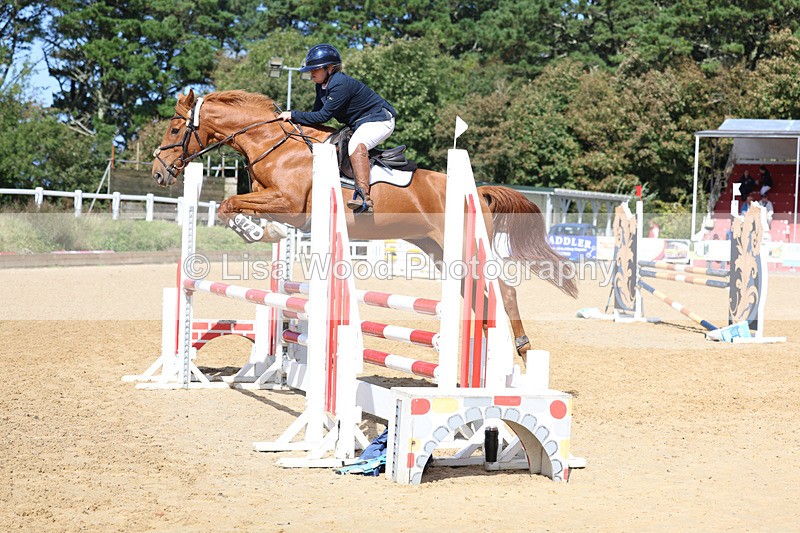 3E7A9370 - Class 9: Senior British Novice/90cm open