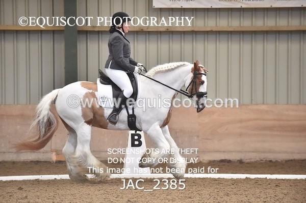 JAC_2385 - CLASS 3 NOVICE 1