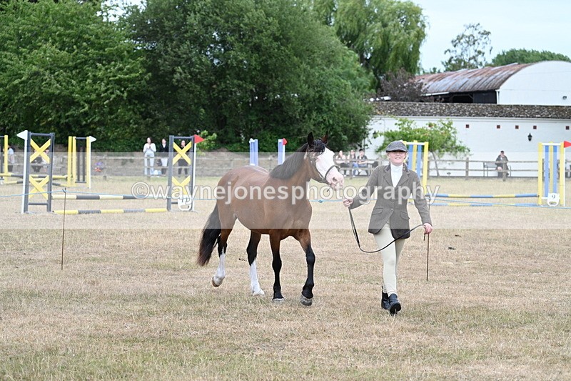 WJ7_8455 - Class 4 Prettiest Mare up to 14.2hh