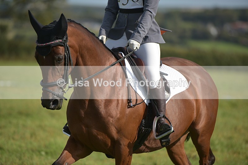 RAY_7582 - Class 2B: Trekenning Open: Dressage