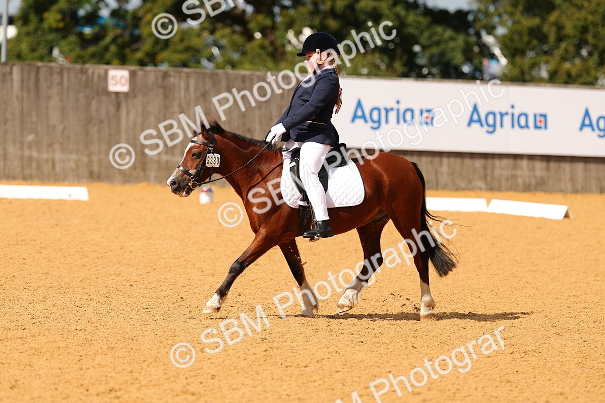 SBM_44065 - D22 - Junior Championship - Intro B