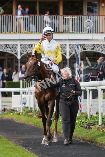yr11052022r6-19 - Race 6 4.45pm Conundrum HR Consulting Stakes