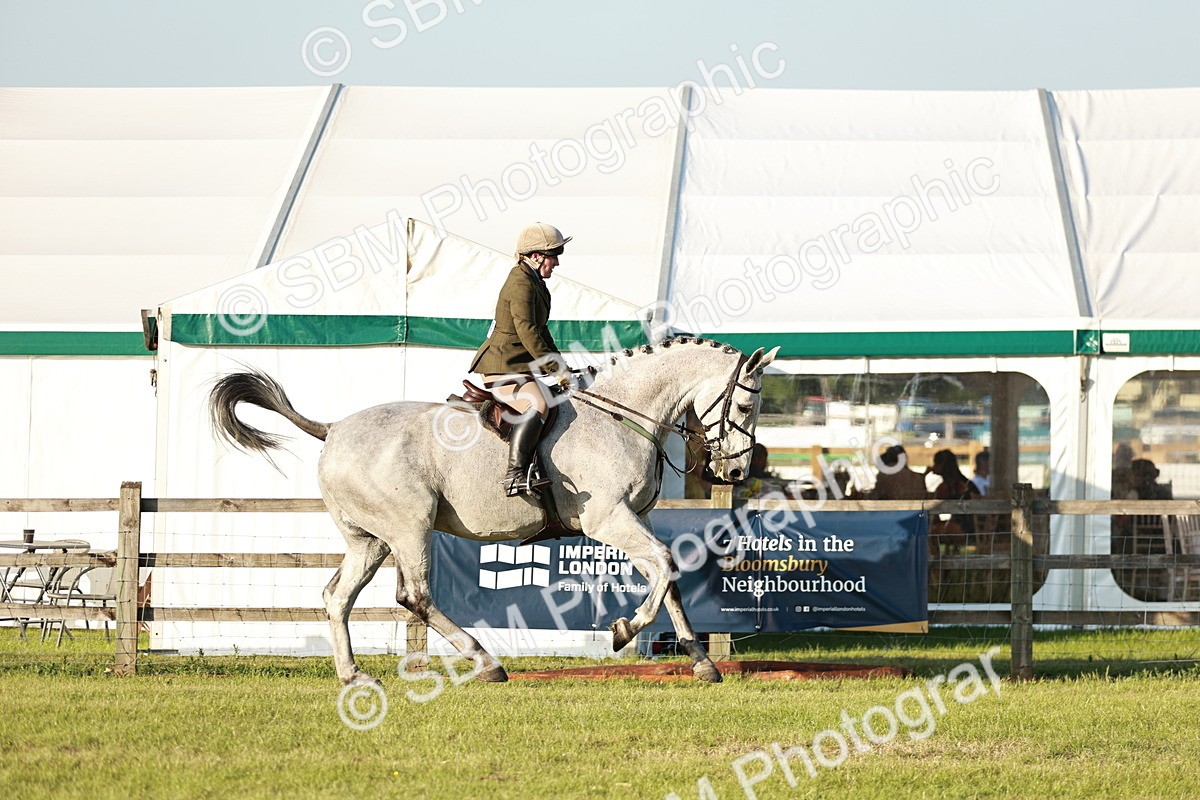 SBM_20465 - Class 117-119 - Sport Horse Working Hunter