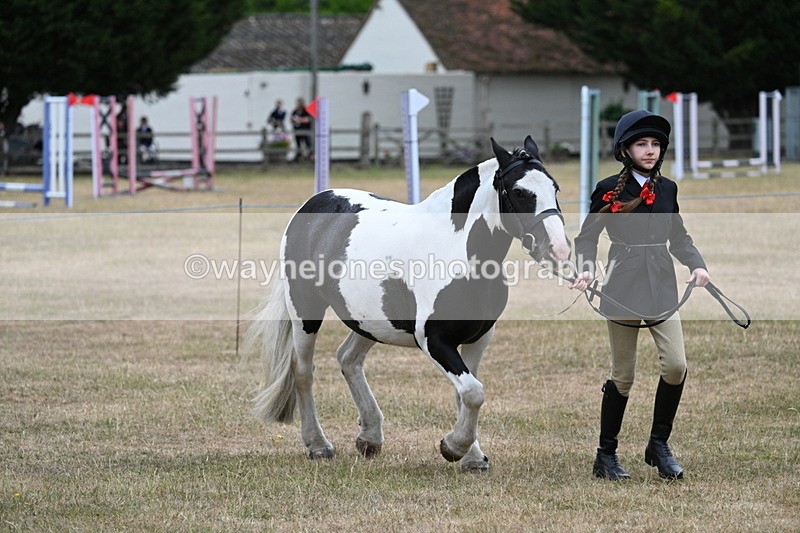WJ7_8289 - Class 4 Prettiest Mare up to 14.2hh
