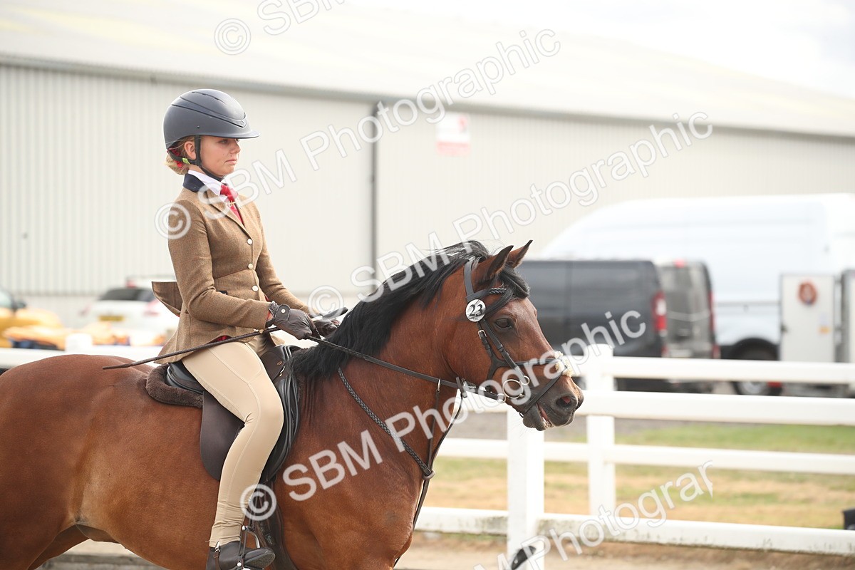 SBM_17867 - Class 508b - Working Veteran 70cm (20+)