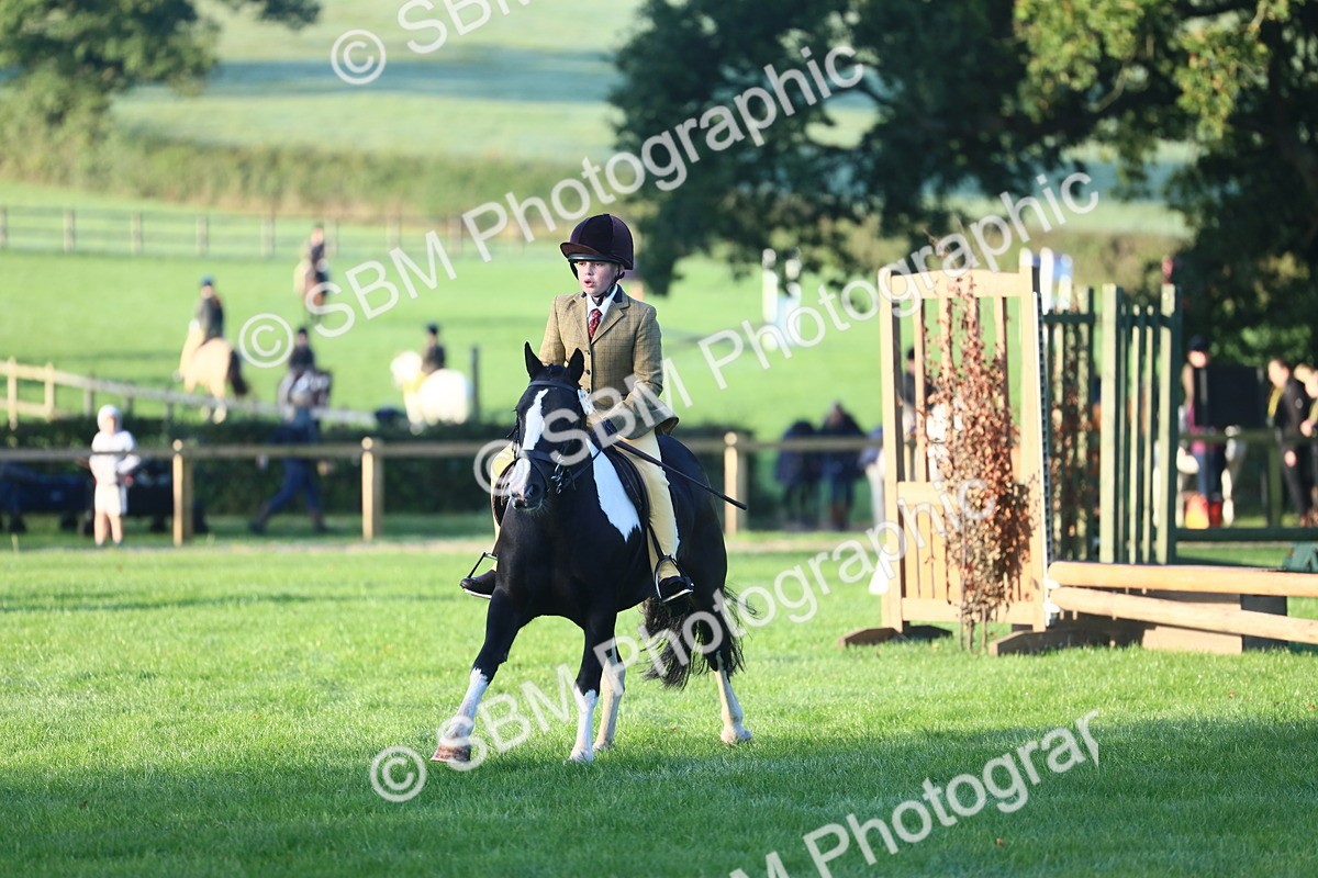 SBM_37185 - S29 - Novice & Newcomers Working Hunter Pony