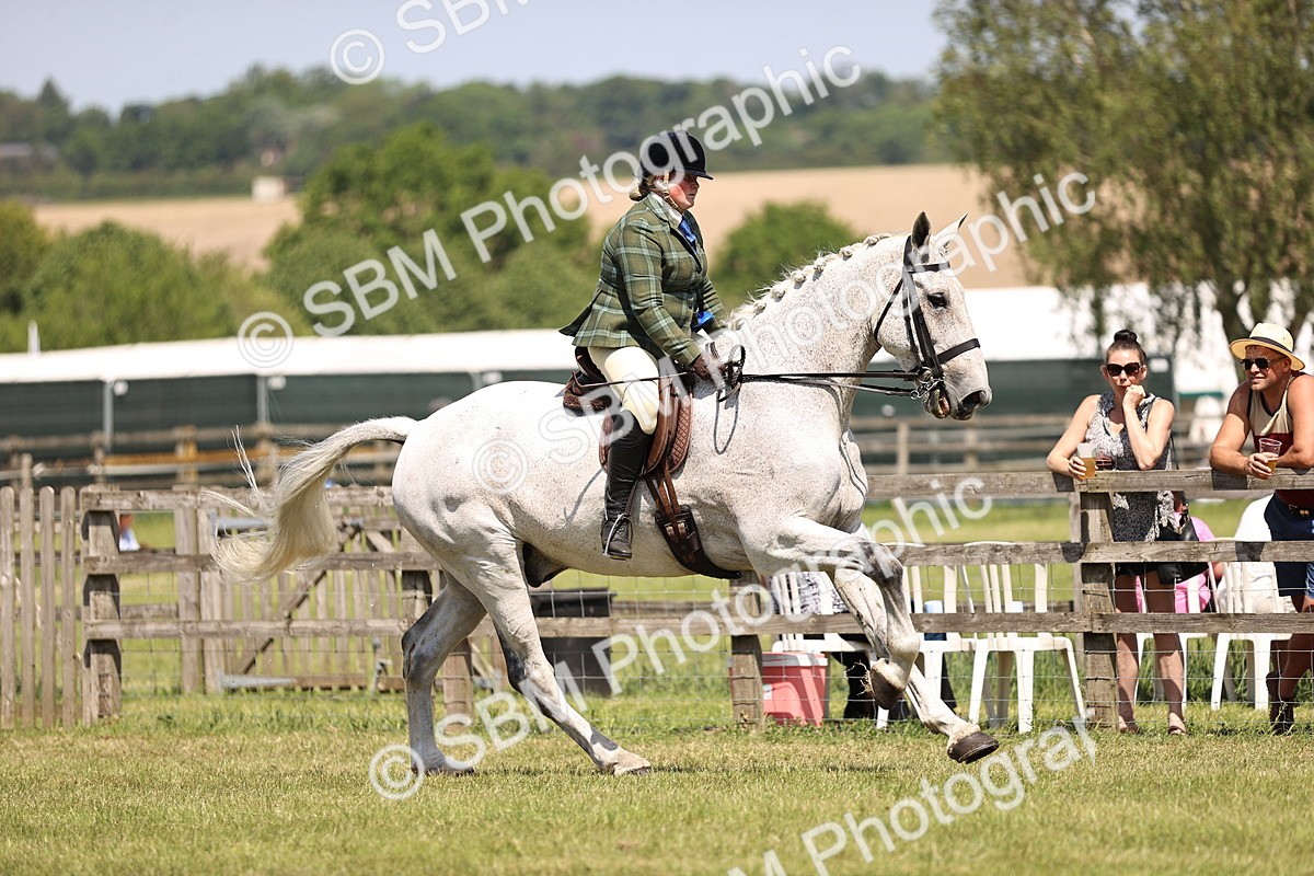 SBM_16155 - Class 79-80 - LIHS BSHA Rising Star Ridden Hunter