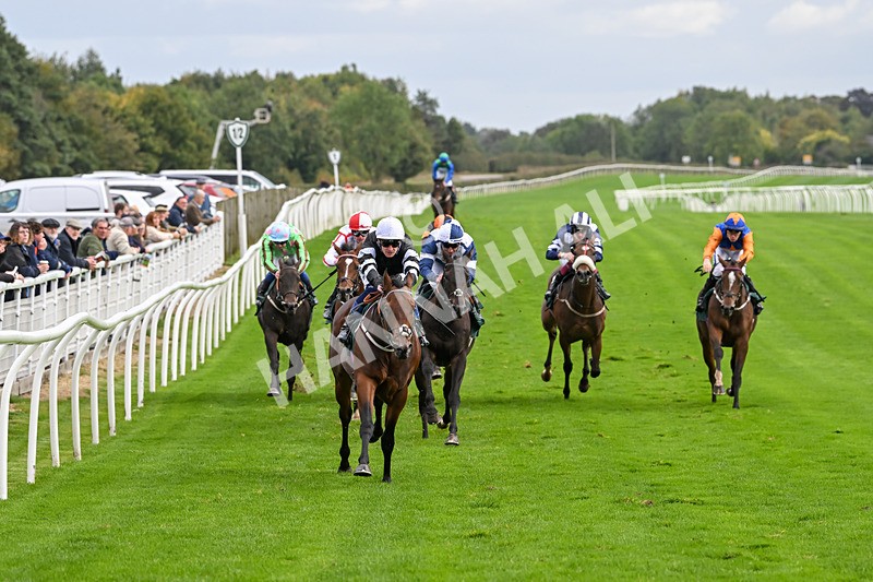 021024-Race 3-Kirkdale-9299 - Race 3