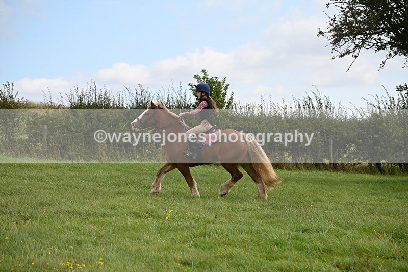 WJ6_7822 - Time 11:45 to 11:58