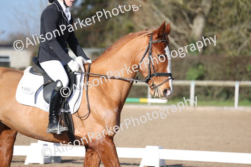 20260128-0312 - Class 3 - Novice 4