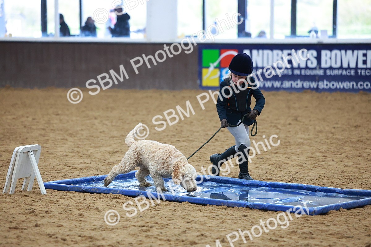 SBM_001595 - Class 3 - Horse & Hound (60cm)