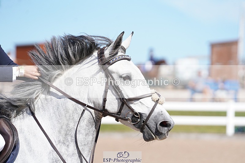 250627-161356-00048 - Cls 2 Pony Intro 80cm