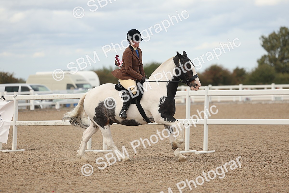 SBM_18100 - Class 314 - Family Horse Pony