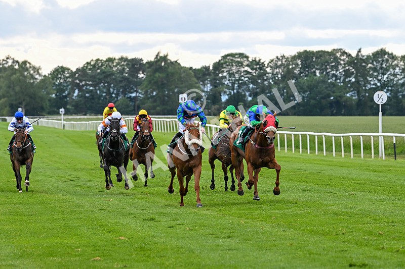 170625-Race 4-Lord Abama-5141 - Race 4