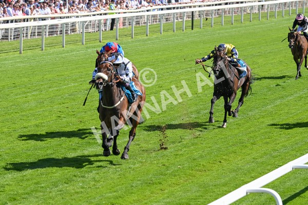 120725-Race 4-Al Qareem-5776 - Race 4 3.45pm John Smith's Silver Cup Stakes