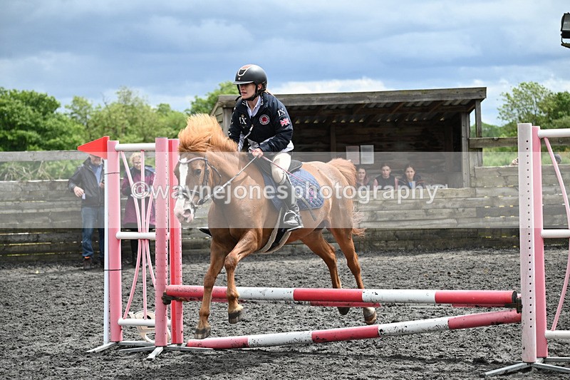 WJ6_0197 - Class 13 Novice 60cm