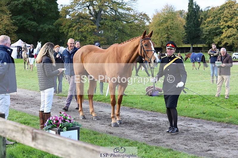 251026A-100135-22674 - D-321-Kirstie.Deakin-Main