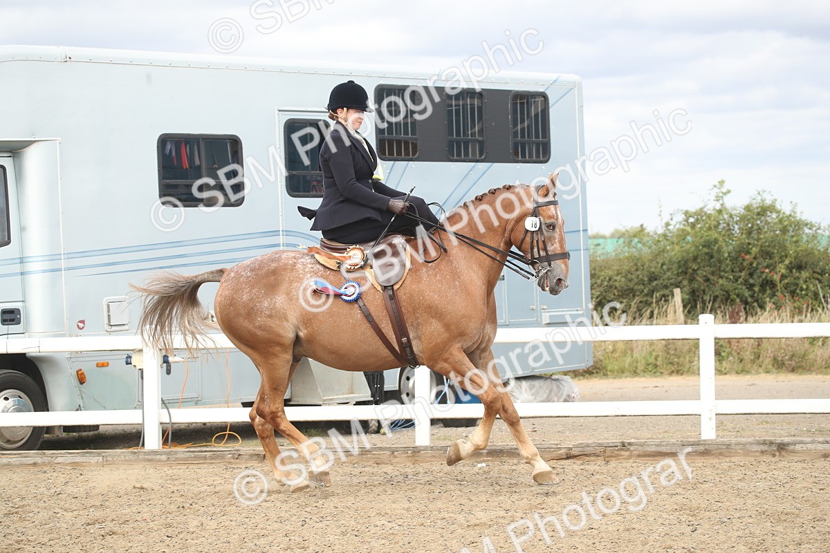 SBM_17801 - Class 508a - Working Veteran 70cm (15-19)