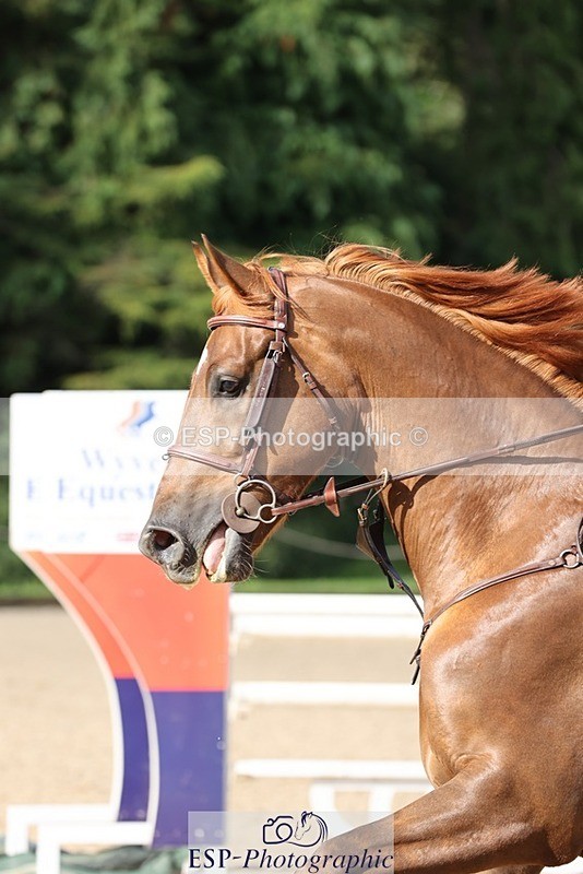 240711-085835-24540 - Cls 119 5 Yr Old Qualifier 1.10m