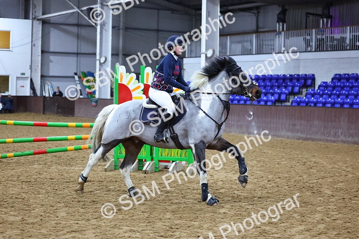 SBM_002577 - Class 6 - Holly & Ivy Stakes - 90cm