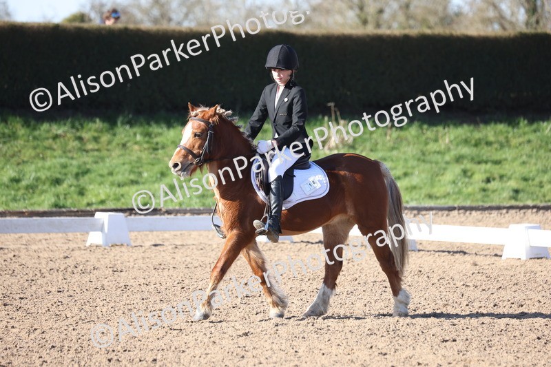 20260214-0359 - Class 4 - Novice 2