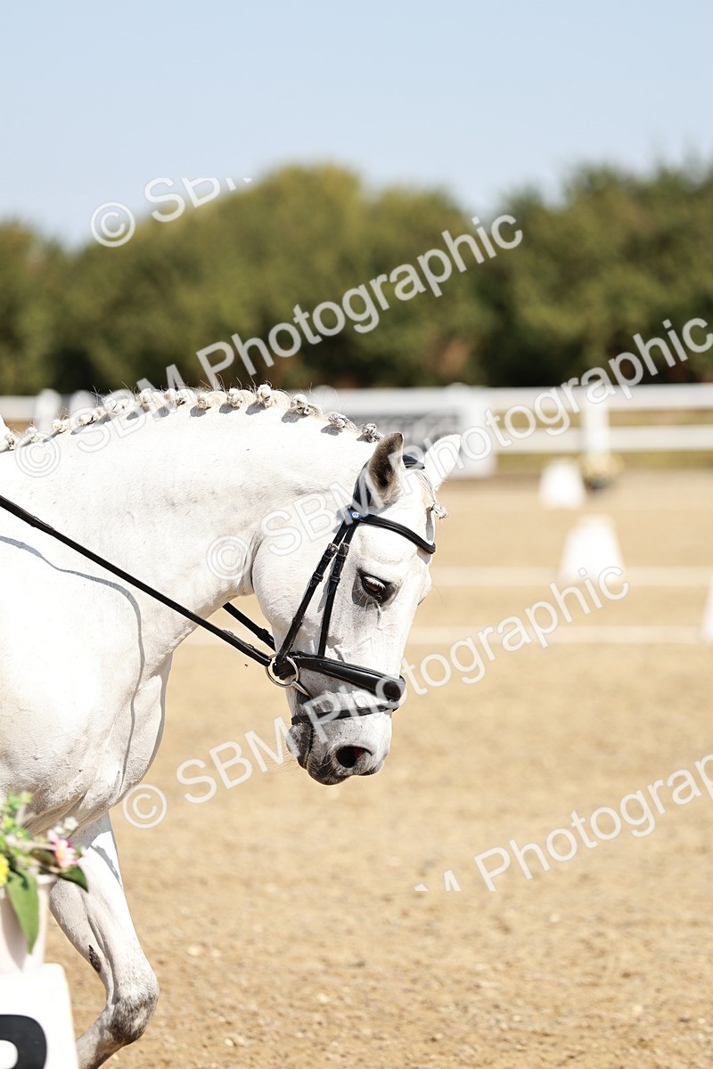 SBM_017444 - Class 10 - N5 Silver 10.43.11.29