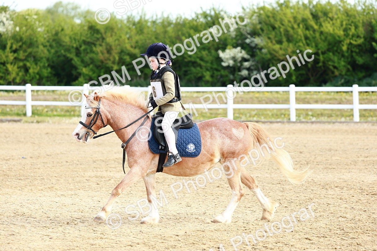 SBM_006359 - Class 1 - 40cm