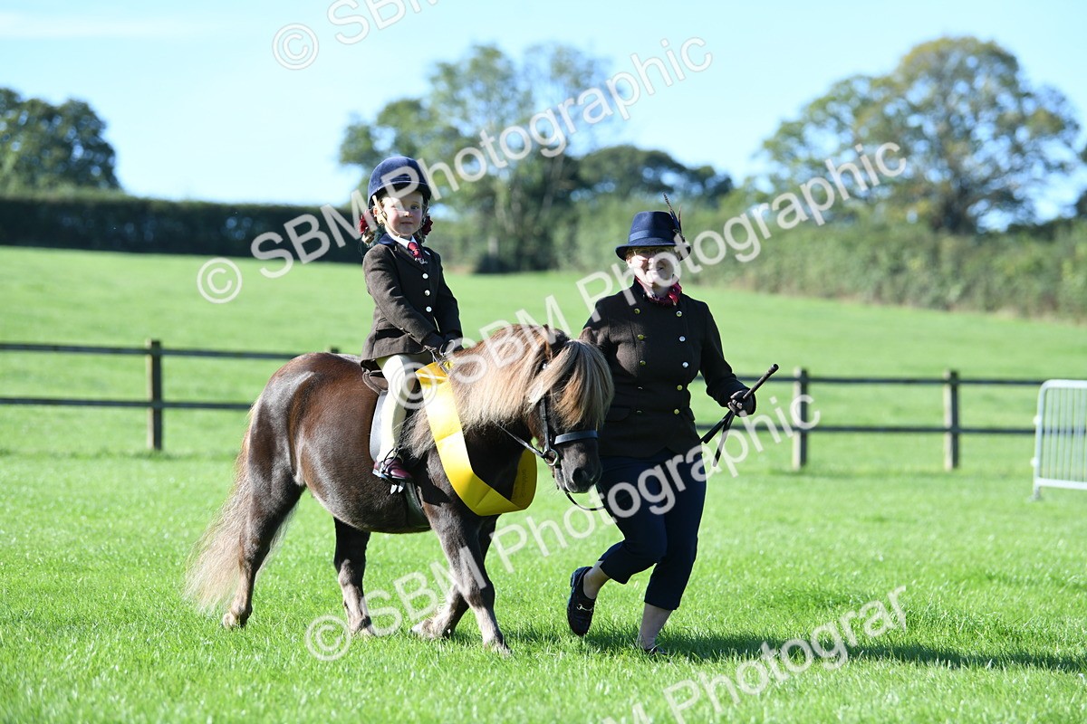 SBM_35498 - S17 - Condition & Turnout - Lead Rein