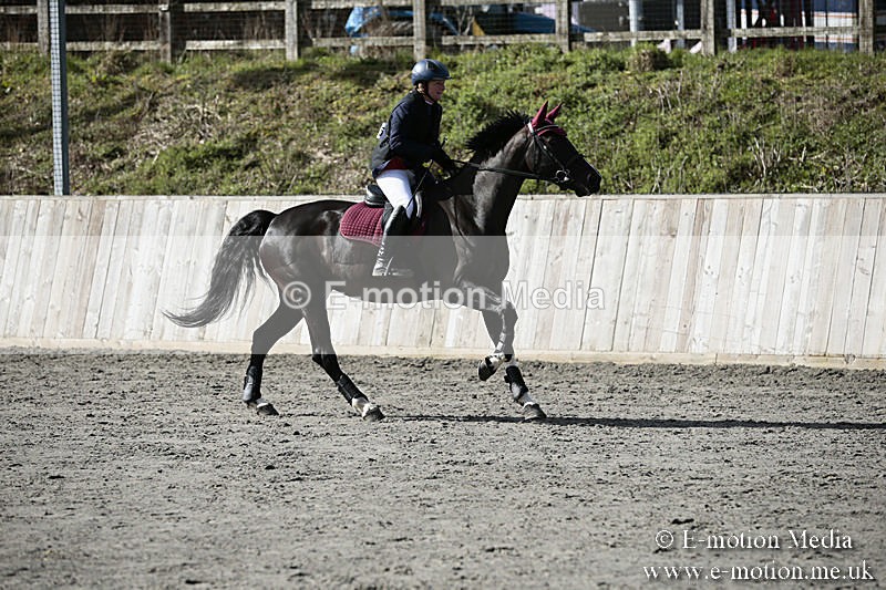 BVRC SJ 170319 186 - Bourne Valley Riding Club Showjumping 17/03/19