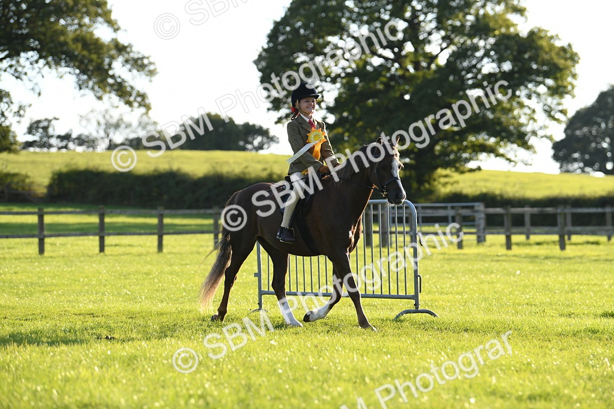 SBM_54217 - S23 - 1st Ridden Mountain & Moorland Pony
