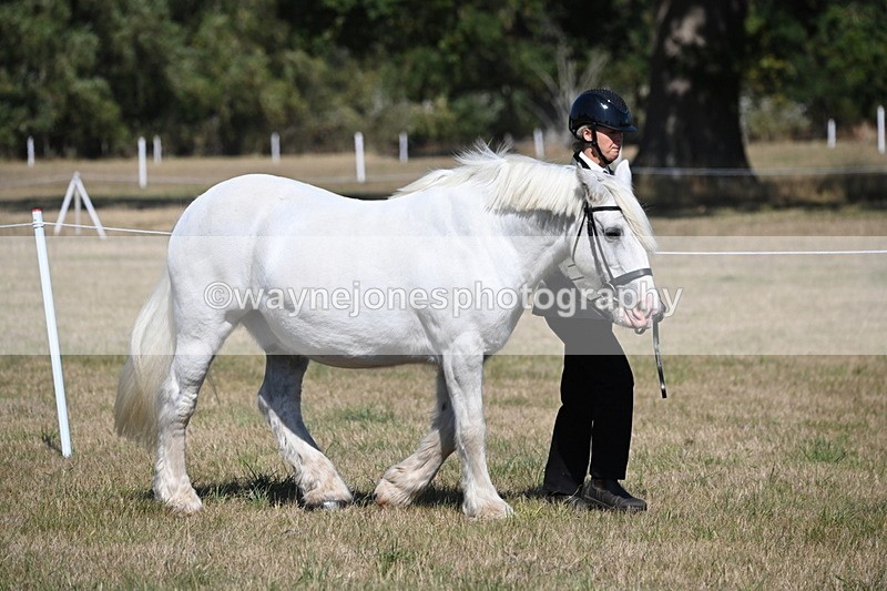 WJ6_4395 - Class 17 Mountain & Moorland