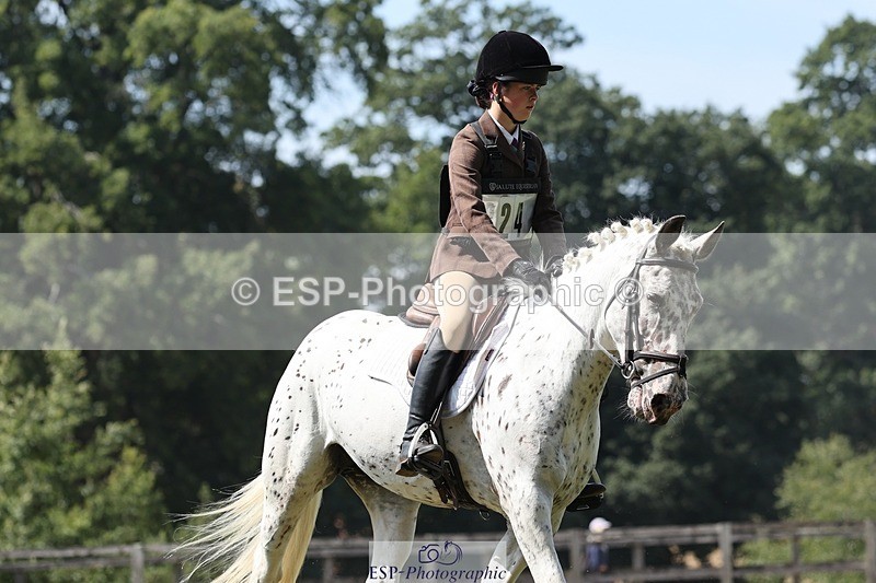 250823A-132005-31284 - Arena D