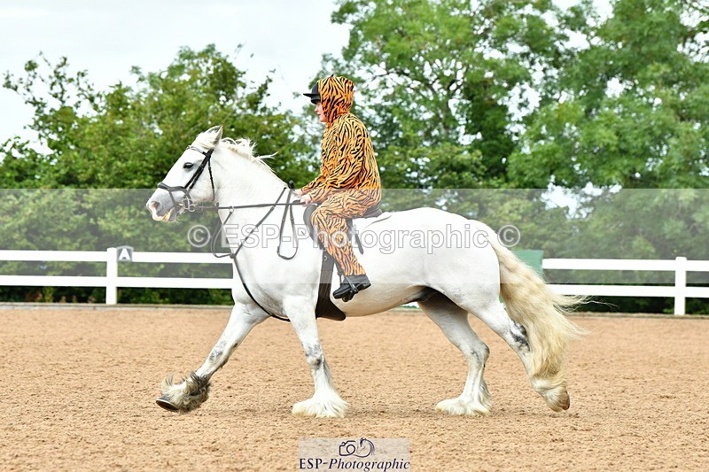 230804A-105922-02100 - Musical Ride