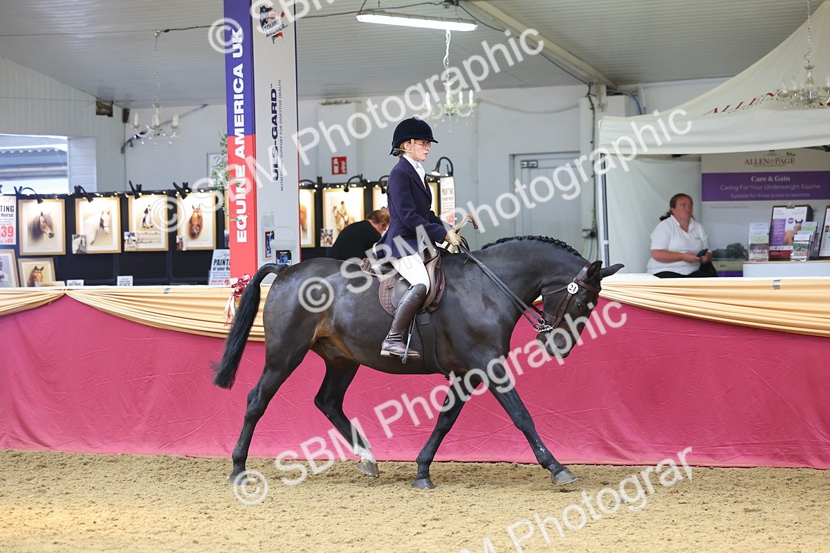 SBM_24038 - Class 905 - Supreme Final - Ridden Veteran