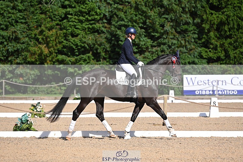 240809-163604-02414 - Novice Gold