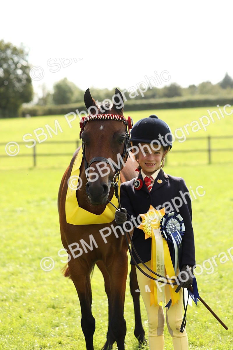 SBM_66350 - In Hand Pony & Youngstock Supreme Championship